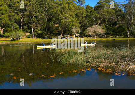 Audley Weir, Royal National Park, Sydney, New South Wales, NSW, Australien Stockfoto