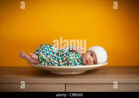 Neugeborenes Baby, zwei Wochen, in eine Schüssel geben Stockfoto