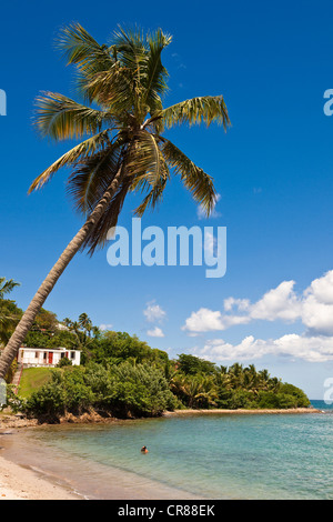 Frankreich, Martinique (Französische Antillen), Les Trois Ilets, Anse Mitan, Strand Stockfoto
