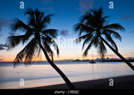 Frankreich, Martinique (Französische Antillen), Grande Anse des Salines, Sonnenuntergang am Strand Stockfoto