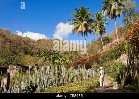 Frankreich, Martinique (Französische Antillen), Le Carbet, die ehemalige Latouche Wohn ist jetzt ein botanischer Garten, obligatorisch Stockfoto