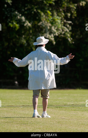 Dorf Kricket-Schiedsrichter signalisiert große Kugel Stockfoto