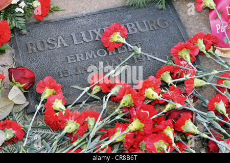 Luxemburg, Rosa, 5.3.1871 - 15.1.1919, polnische deutsche Politikerin (SPD) / Kommunistische Partei Deutschlands (ZK)), ihr mit Rotpink dekoriertes Grab, jährliches Gedenken an den Jahrestag des Attentats, Zentralfriedhof Friedrichsfelde, Berlin, Deutschland, 15.1.2012, Stockfoto