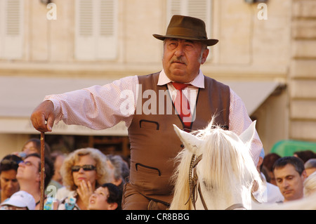 Festival d ' Avignon, Eröffnung Parade des Festivals mit der Gardians (Wachen) und die Camargue-Pferde, Avignon, Vaucluse, Frankreich Stockfoto