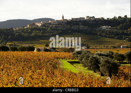 Frankreich, Var, La Cadiere d ' Azur, Bandol Bereiche Stockfoto