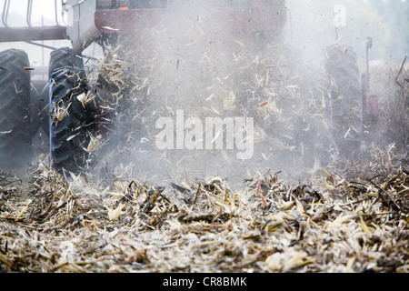 Mähdrescher in einem Kornfeld Stockfoto
