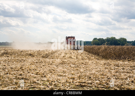 Mähdrescher bei der Arbeit in einem Feld Stockfoto