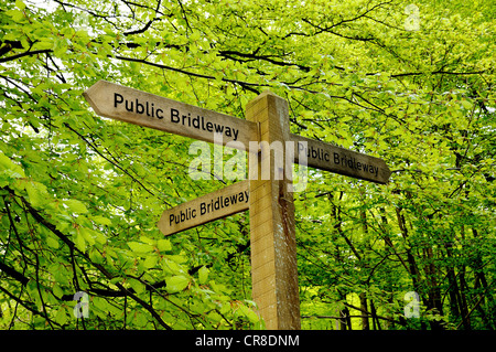 Wegweiser aus Holz zeigt öffentliche Maultierweg in Surrey Hills Stockfoto