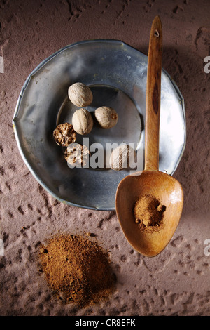 Muskatnüsse (Myristica Fragrans), auf einer Metallplatte mit einem Holzlöffel und Boden Muskatnuss auf einem rustikalen Steinsockel Stockfoto