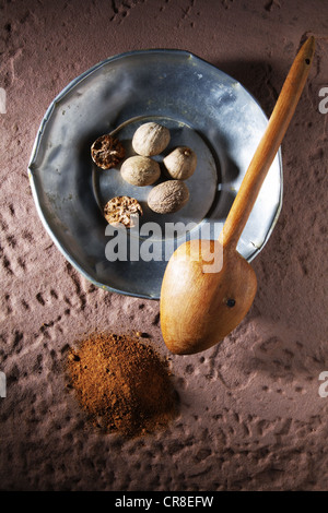 Muskatnüsse (Myristica Fragrans), auf einer Metallplatte mit einem Holzlöffel und Boden Muskatnuss auf einem rustikalen Steinsockel Stockfoto