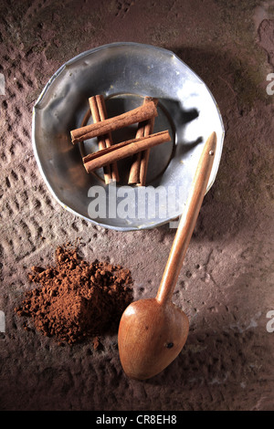 Zimt (Cinnamomum) auf einer Metallplatte mit einem Holzlöffel und Zimtpulver auf einer urigen steinernen Sockel-sticks Stockfoto