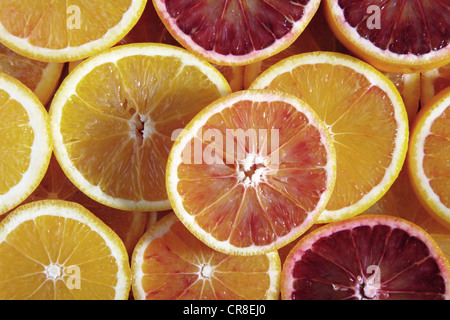 Scheiben von Orangen, Blutorangen Stockfoto