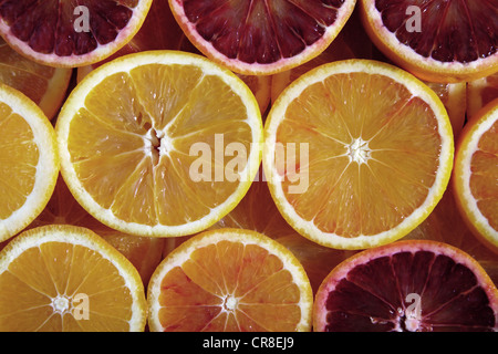 Scheiben von Orangen, Blutorangen Stockfoto