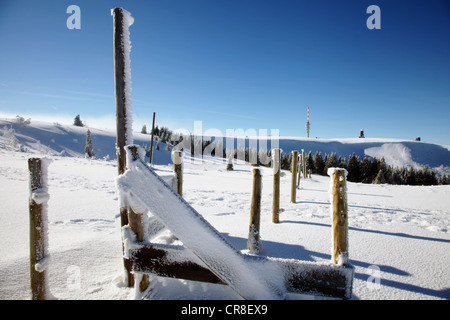 Blick auf den Gipfel des Feldbergs mit einer Sende-Turm und Wetterstation im Winter, Schwarzwald Stockfoto