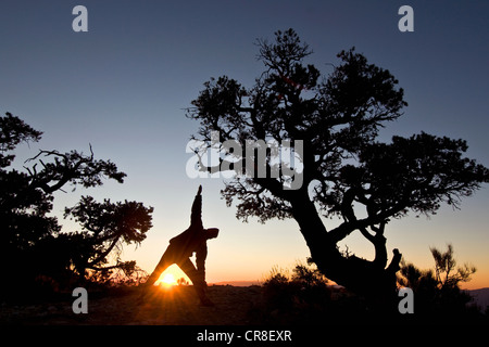 Mann, die Dehnung bei Sonnenaufgang in Death Valley Nationalpark, Kalifornien, USA Stockfoto