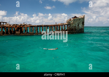 Schnorcheln in der Nähe gibt Wrack Stockfoto