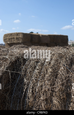 Eine Garbe von Heu in einem Feld von Weizen nach der Ernte Stockfoto