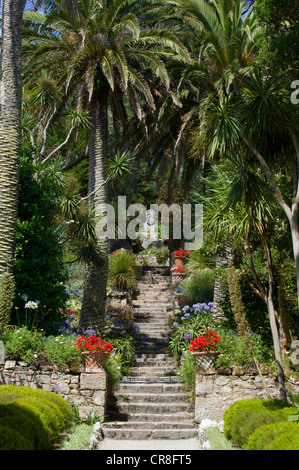 Neptun-Schritte mit Büste von Neptun und subtropische Vegetation, Isles of Scilly Tresco Klostergarten, Tresco Insel Stockfoto