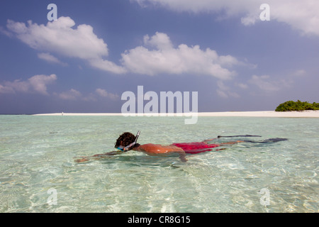 Schnorchler in der Nähe von Insel Stockfoto