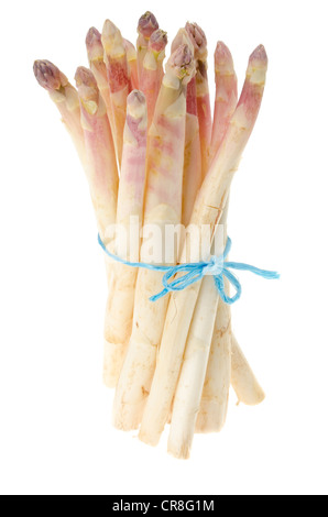 Haufen weißer Spargel mit violetten Spitzen isoliert auf einem weißen Hintergrund. Stockfoto