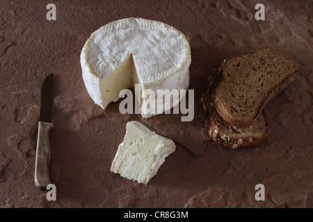 Französischer Weichkäse auf Sandstein Stockfoto