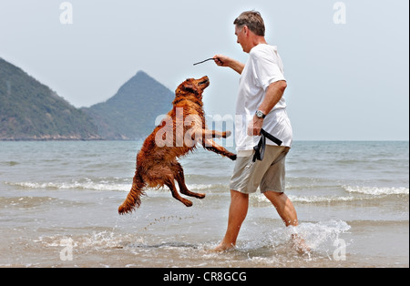 Mann spielt mit Hund am Strand in Thailand Stockfoto