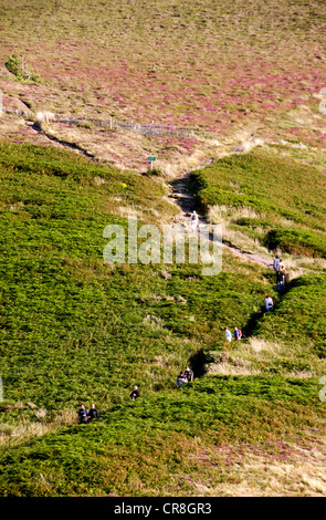 Frankreich, Finistere, Cap Sizun Kastel Koz, Wandern auf den Spuren Stockfoto