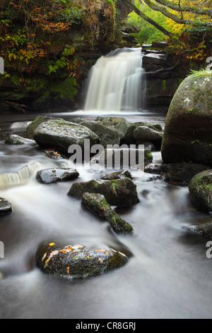Thomason Foss Wasserfall, Beck Loch Goathland Stockfoto