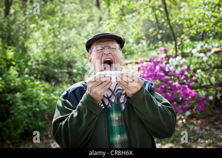 Ältere Mann im freien Niesen Stockfoto