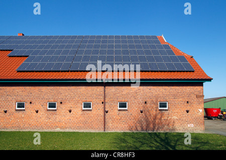 Sonnenkollektoren auf dem Dach eines Bauernhofes, Photovoltaik-Anlage, Schleswig-Holstein, Deutschland, Europa Stockfoto