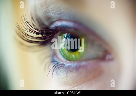 Grüne Augen mit langen Wimpern Stockfoto