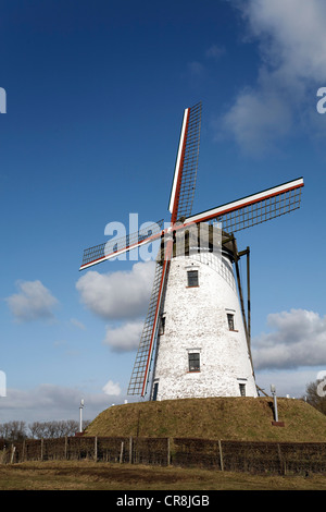 Windmühle, Schellemolen aus dem Jahr 1867, Damme, West-Flandern, Belgien, Europa Stockfoto