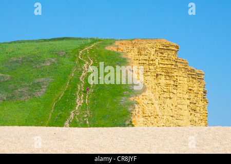 Klippen von West Bay, Bridport, Dorset, England Stockfoto