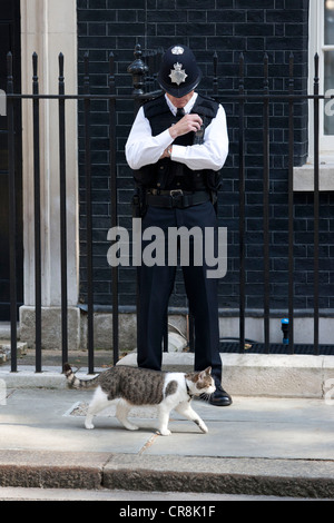 Larry, wie die Downing Street Katze geht pass einen britischen Polizist auf den Stufen der 10 Downing Street Stockfoto