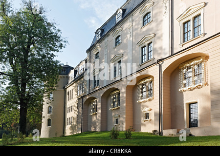 Historischen Herzogin Anna Amalia Library, wie aus dem Park, Weimar, Thüringen, Deutschland, Europa Stockfoto