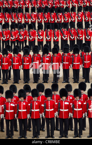 Trooping die Farbe, die Horse Guards Parade Stockfoto