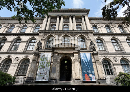 Museum Fuer Naturkunde, Naturkundemuseum, Mitte Viertel, Berlin, Deutschland, Europa Stockfoto