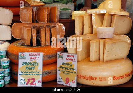 Holländischer Käse für den Verkauf in Middelburg, Walcheren, Zeeland, Holland, Niederlande, Europa Stockfoto