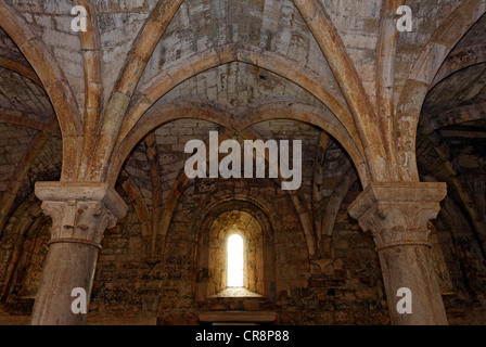 Le Thoronet Abbey, Kreuz-gerippten Gewölbe im Kapitelsaal, ehemalige Zisterzienserkloster, Region Provence-Alpes-Côte d ' Azur Stockfoto