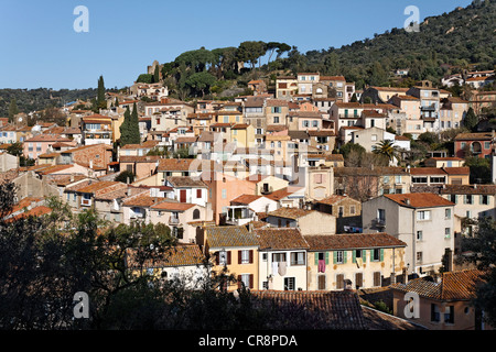 Bormes-Les-Mimosas, einem mittelalterlichen Bergdorf, Region Provence-Alpes-Côte d ' Azur, Frankreich, Europa Stockfoto