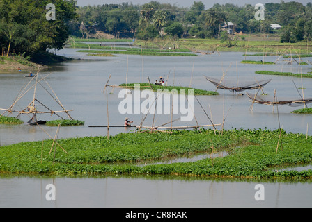 Südasien Bangladesh Khulna, Fischer fangen Fische mit Fischernetz Stockfoto