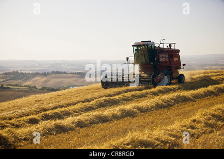 Mähdrescher bei der Ernte, Toskana, Italien, Europa, PublicGround Stockfoto