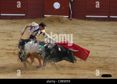 Stierkampf in Jerez, Spanien Stockfoto
