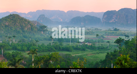 Kalkstein-Hügel, Landwirtschaft Land und Dorf Haus in Morgen Nebel, Vinales Tal UNESCO World Heritage Site, Kuba Stockfoto
