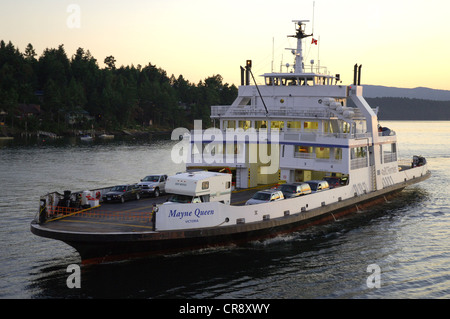 BC Ferry Mayne Königin in Active Pass, südlichen Gulf Islands, British Columbia, Kanada Stockfoto