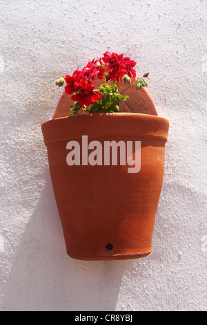 Blumentopf montiert an der weiß getünchten Wand eines Hauses im Dorf von Aldeia da Mata Pequena in Portugal. Stockfoto