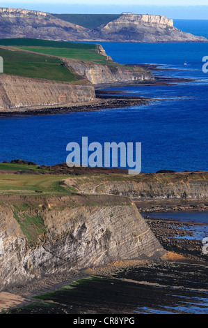 Ein Blick auf die Küste bei Kimmeridge Bucht an der Jurassic Coast Dorset UK Stockfoto