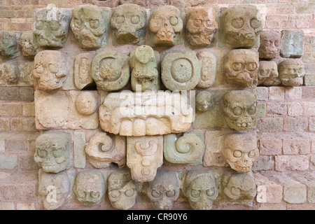 Schnitzen in Copan Ruinen, Maya Site von Copan, UNESCO-Weltkulturerbe, Honduras Stockfoto