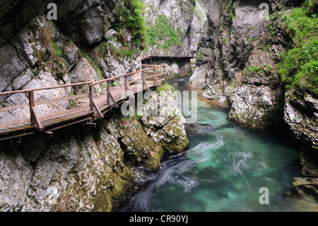 Verfolgen Sie in der Vintgar-Schlucht in der Nähe von Bled, Nationalpark Triglav, Slowenien, Europa Stockfoto