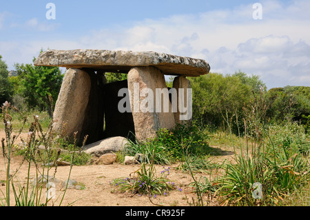 Grabstein, Dolmen von Fontanaccia auf dem Plateau von Cauria, Korsika, Frankreich, Europa Stockfoto